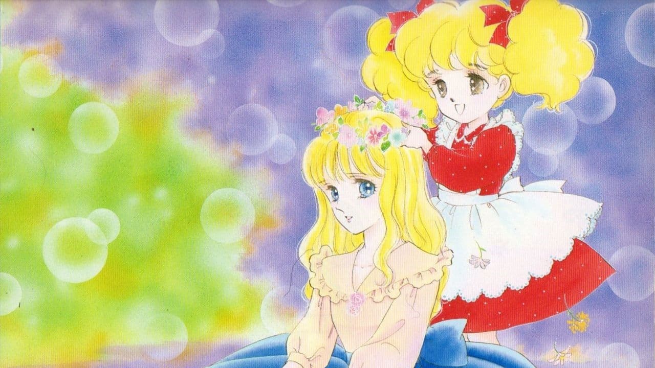 レディレディ!!