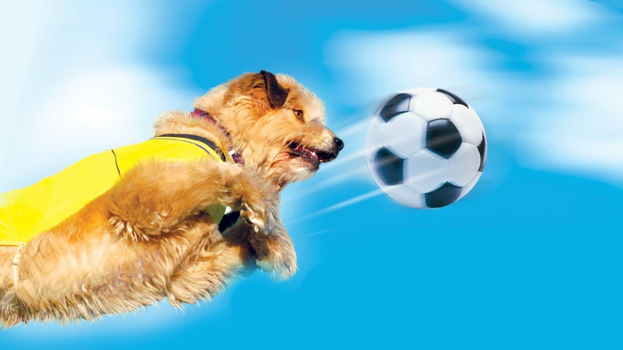 Um Craque Animal 2