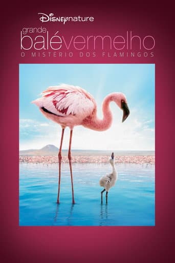 Grande Balé Vermelho: O Mistério dos Flamingos